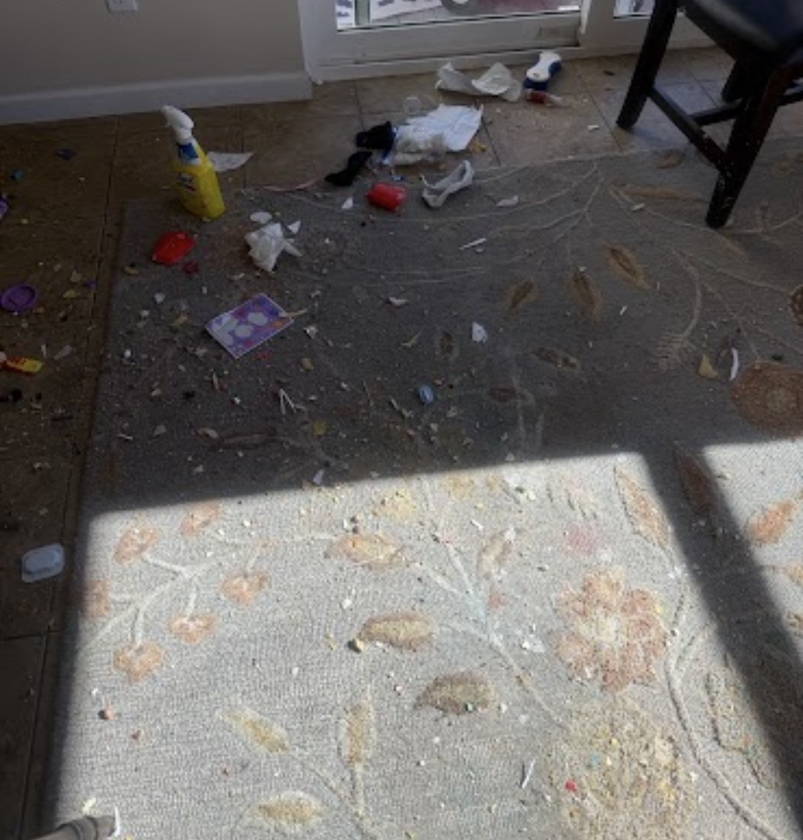 Before: debris scattered across the dining-area rug